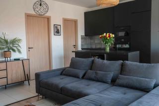 Taylor Apartman - Eger - 9