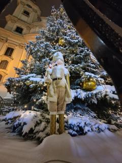 Orsika HillTop Apartman - Eger - 5