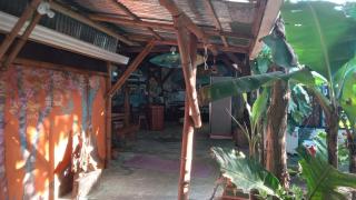 OSA SURF House - Puerto Jiménez - 1