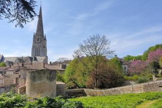 L'arcade de Fontenay - Fontenay-le-Comte - 1
