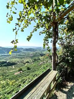 Relax nelle colline del Prosecco - Pederobba - 8