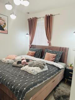 Apartman Jovičić - Bjelovar - 9