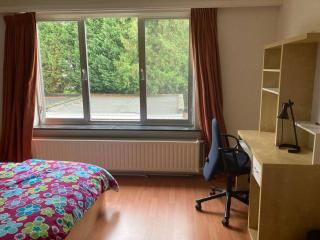 Charming Sunny 100m2 Entire Apartment with 2 bedrooms - Brasschaat - 1