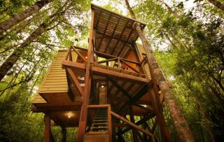 Casita Arbol - Puerto Fuy - 0