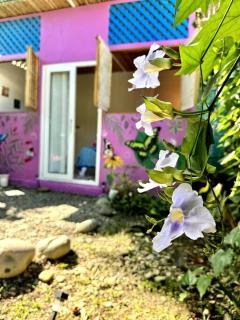 Casa Mariposa - 2