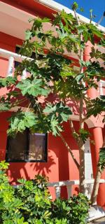 Villa KIKI Ensenada - 7