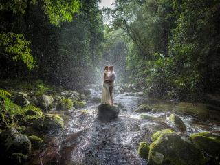 Cairns Rainforest Retreats - Bellenden Ker - 7