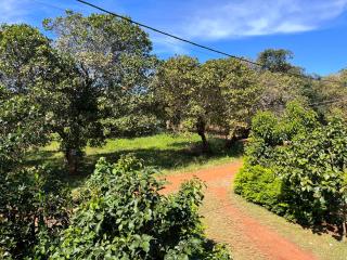 Ratanakiri Farmhouse & Trekking - Banlung - 6