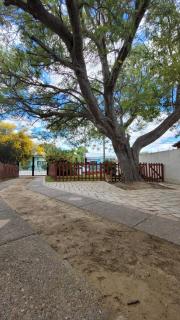 El Patio del Aromo - 5