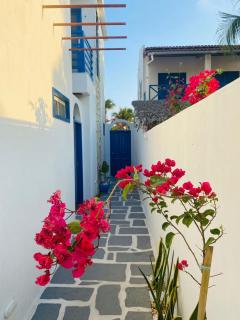Meditarranee Residence - Camocim - 7