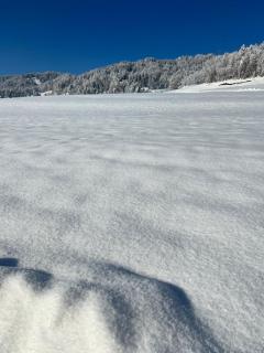 Panorama Appartements - 0