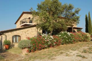Podere Novo - Bibbona - 6