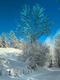 Pölstaler Berghütte - 1
