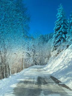 Pölstaler Berghütte - 2