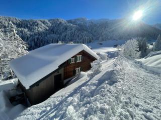 Alpenchalet Piz Hüsli - 0