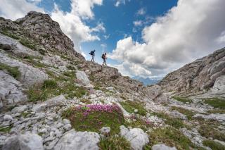 Bovec Garni Apartment 8 - Bovec - 8