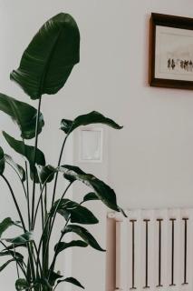 Old Town Wroclaw. Rynek 130m2 - 4