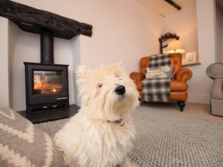 2 bed property in Braunton 65164 - Braunton - 8