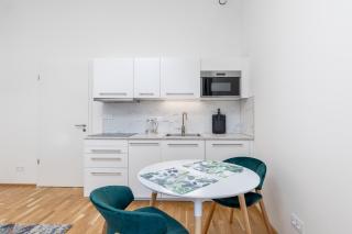 Bright aparment close to Wenceslas square with parking - Prague - 8