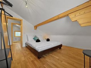 The Laughing Cow - 10 mns from Sion and ski - 2