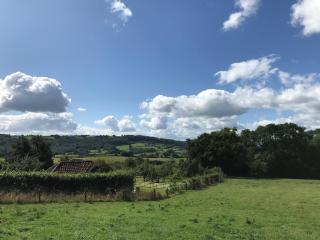 1 bed in Monmouth 74976 - Cwmcarvan - 9