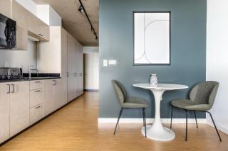 Lincoln Park Studio w WD nr L New City CHI-305 - Chicago - 7