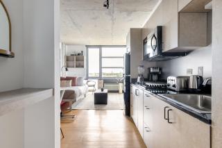 Lincoln Park Studio w WD nr L New City CHI-305 - Chicago - 6
