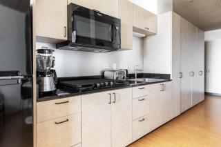 Lincoln Park Studio w WD nr L New City CHI-305 - Chicago - 5