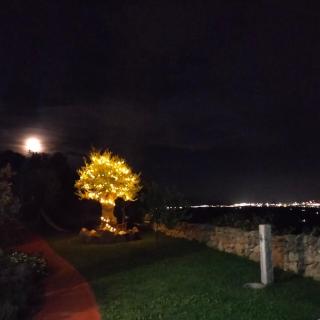 B&B Bellavista - Sole Ruiu - 9