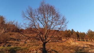 Au coeur de l'ardèche, Le Pas Sage Au Trible - 7