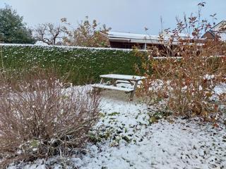 Huisjedelinde - Wolvega - 8