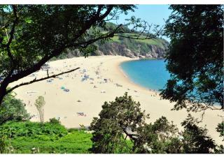 Holidays by the beach are good for your soul and Seaview Palms is a lovely Devon seaside home make it yours for a romantic break or family adventure with private parking outdoor terrace village centre with a fab gastro pub shops and restaurant 120 reviews - Stoke Fleming - 5