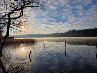 Lille bo - Silkeborg - 1