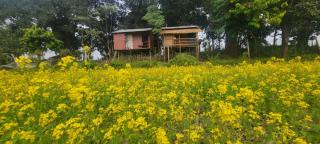 Pemsee's Tree Town - Eco-friendly,Tree house hostel - Sauraha - 4