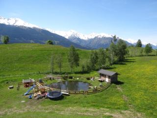 Stanglehen - Mittersill - 3