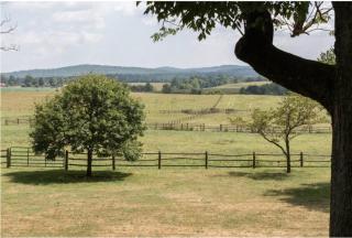 Charming & Rustic Bloomingdale Cottage w/views - - 6