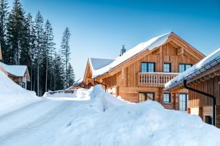 Poolchalet Dachsteinblick - 8