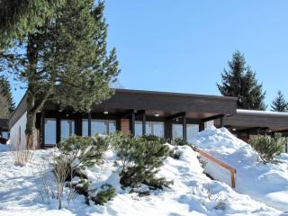 Holiday Home Jägerwiesen-8 by Interhome - Waldkirchen - 1