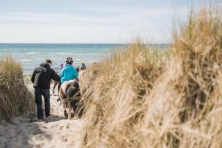 Büdlfarm - Der Familien-Erlebnishof in Strandnähe - Fehmarn - 3