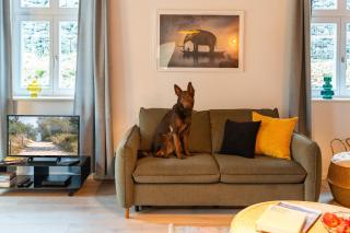 Coach House - Heringsdorf - 3