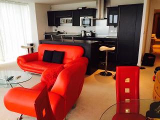 Excel Stunning 3 Bedrooms - Londra - 0