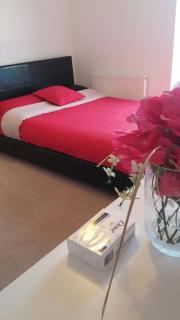 Excel Stunning 3 Bedrooms - Londra - 5