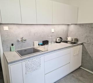 Princ next to President Palace - Bratislava - 7