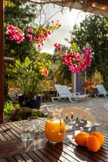 Le jardin de Teresa - Algoz - 9