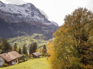 Apartment Chalet uf Duft by Interhome - 5