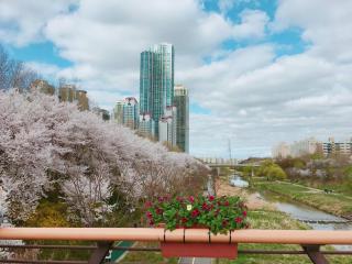 Yangjae Station & Stream Stay - Seul - 0