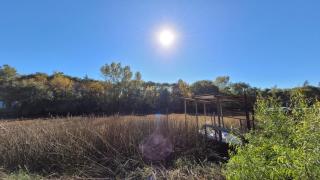 Hidden Island Hostel - Tigre - 1