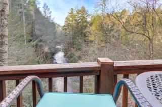 Waterfront Cabin with Beautiful River View and Hot Tub - Ellijay - 9