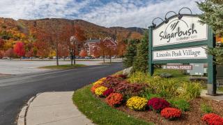 19 Mountainside condo - Warren - 8