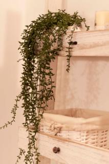 Rifugio romantico a Napoli - 4